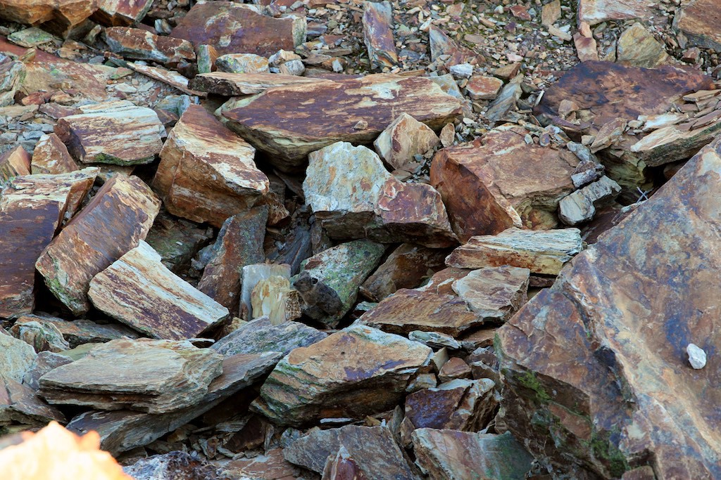 Finding a pika on a rock pile can be difficult if it remains motionless. 