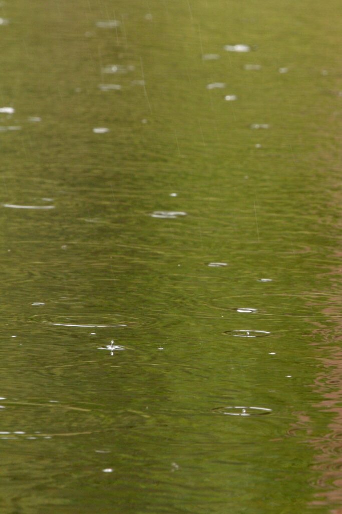 Small raindrops splashing on a creek's surface.