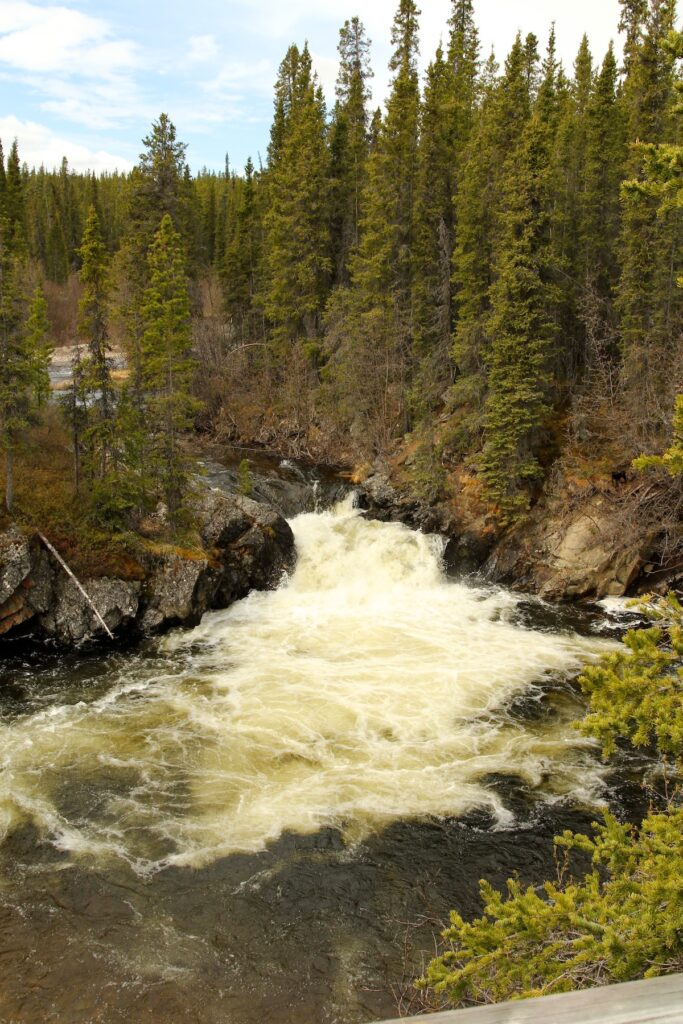 Rancheria Falls is a short but powerful waterfall in the boreal forest.